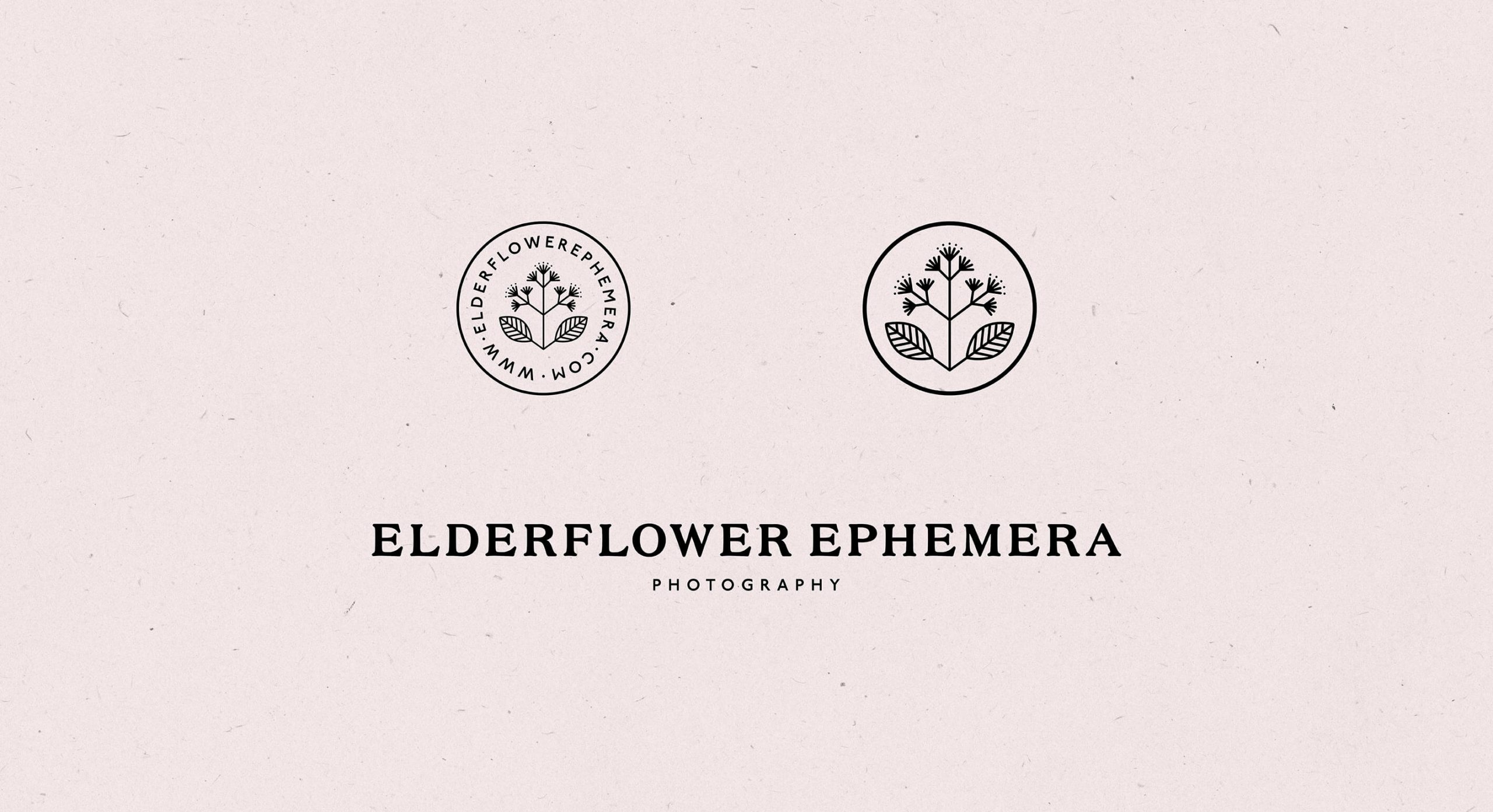 Obscurio & Co brand identity design for film photographer elderflower ephemera