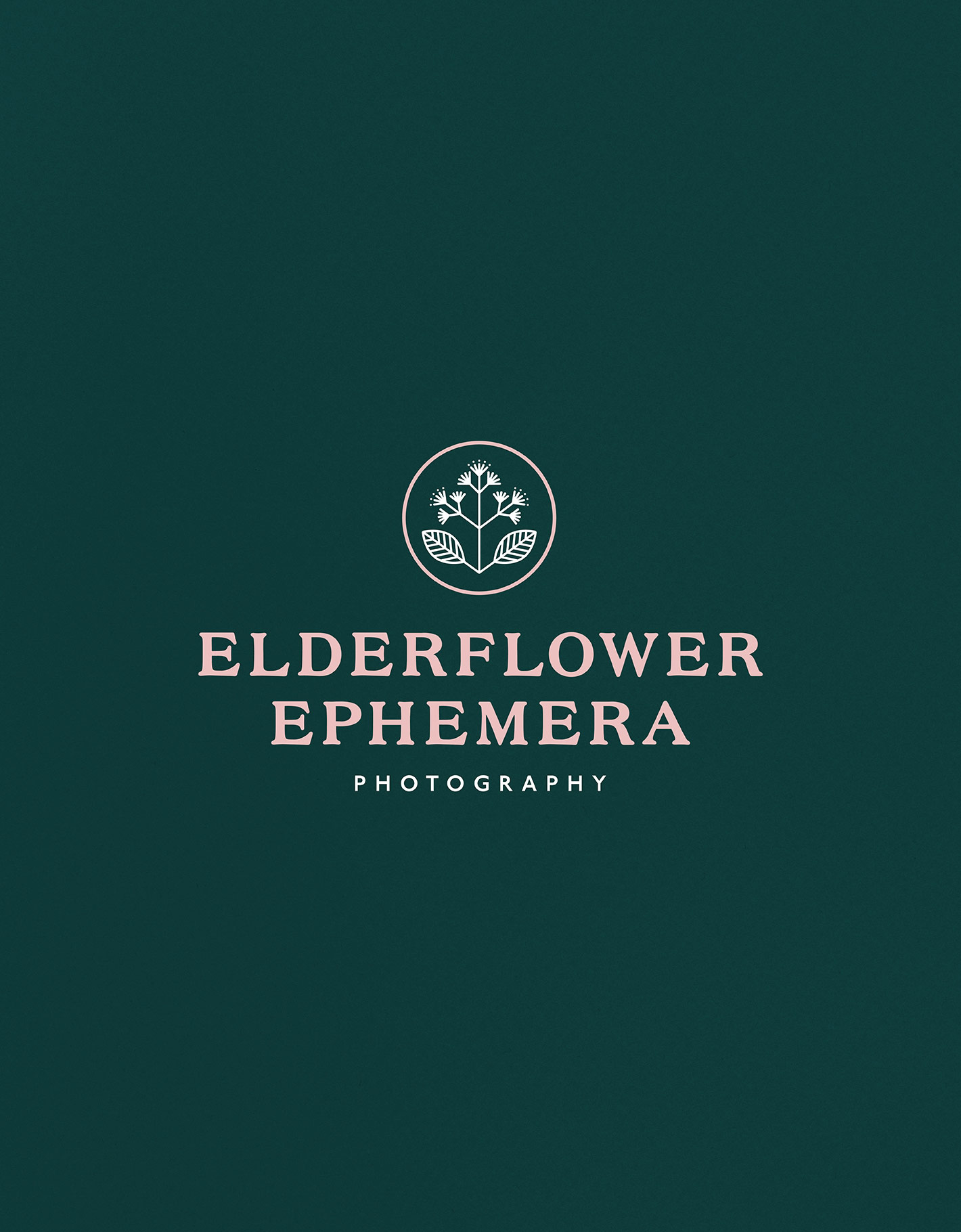 Floral icon and serif logotype for elderflower ephemera