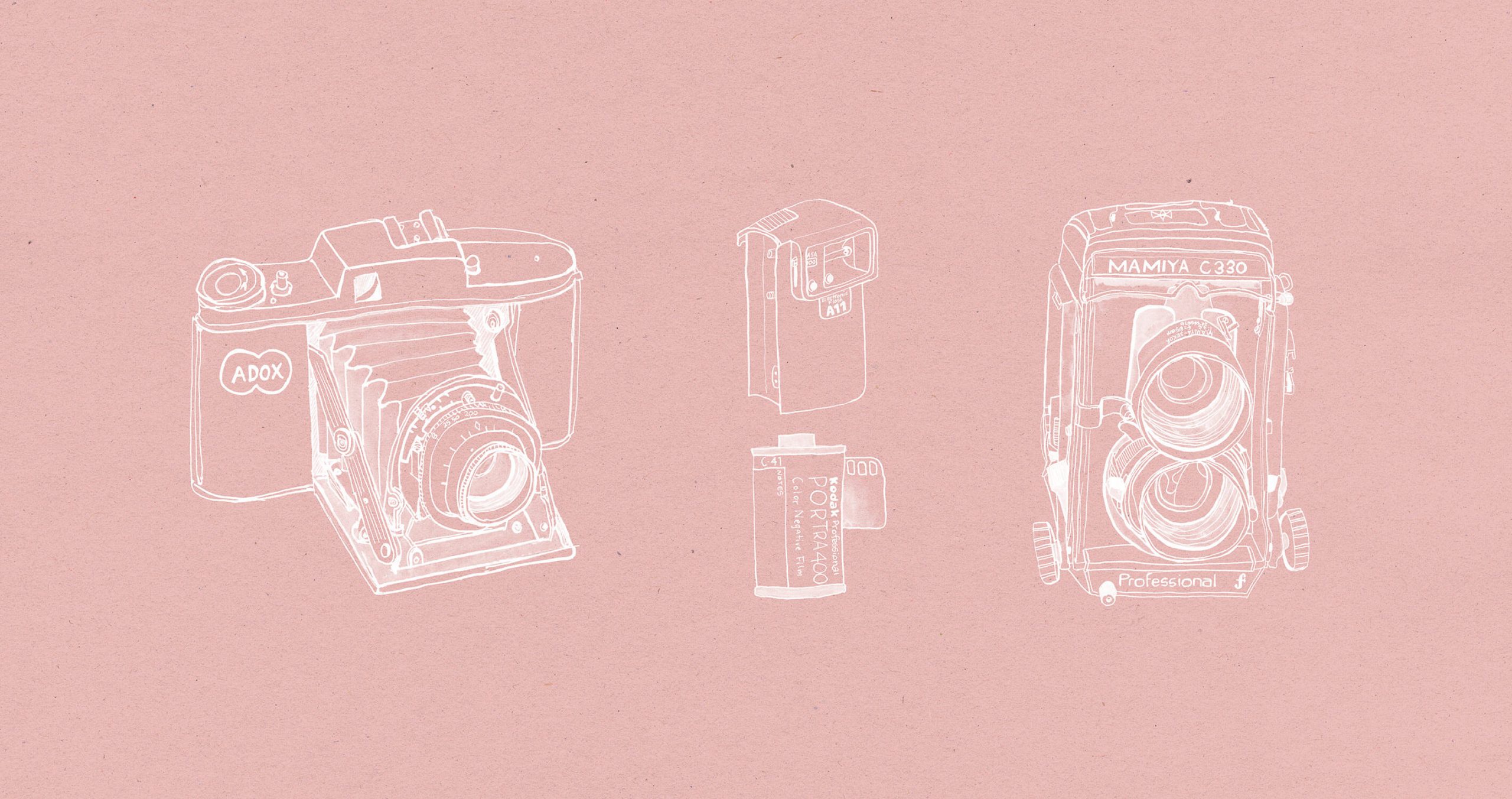 Client illustrations by elderflower ephemera of vintage cameras and film