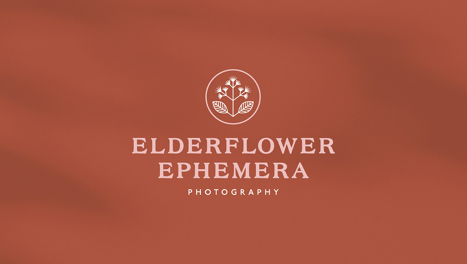 Vintage inspired logotype featuring floral emblem for film photographer elderflower ephemera