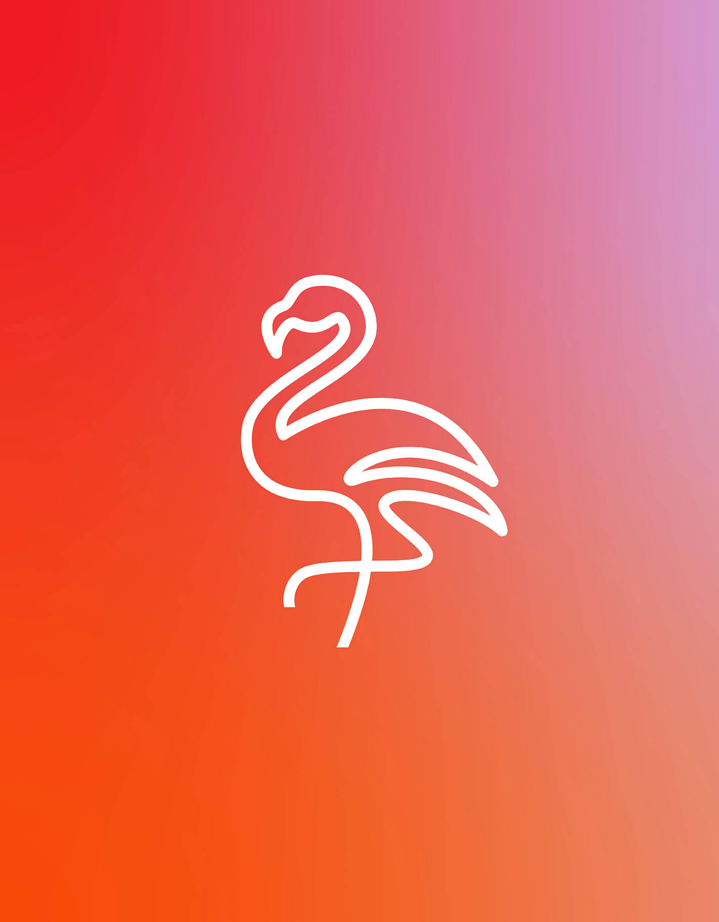 Tropical coloured background gradient with white Wicker darling flamingo line icon