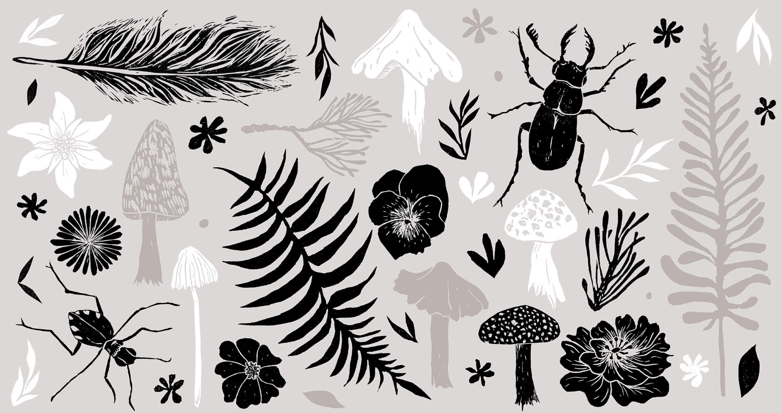 custom linoprint support graphics featuring insects and plants per teh forest inspired brand moss and brooke. The assets are textual but elegant and make for a unique brand identity.
