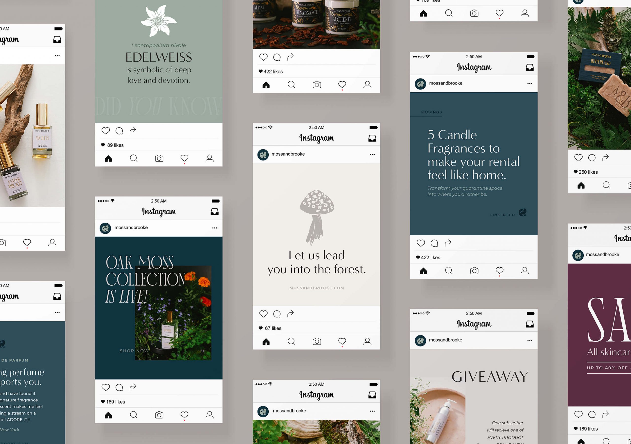 social media templates created in canva for handmade perfume brand moss and brooke