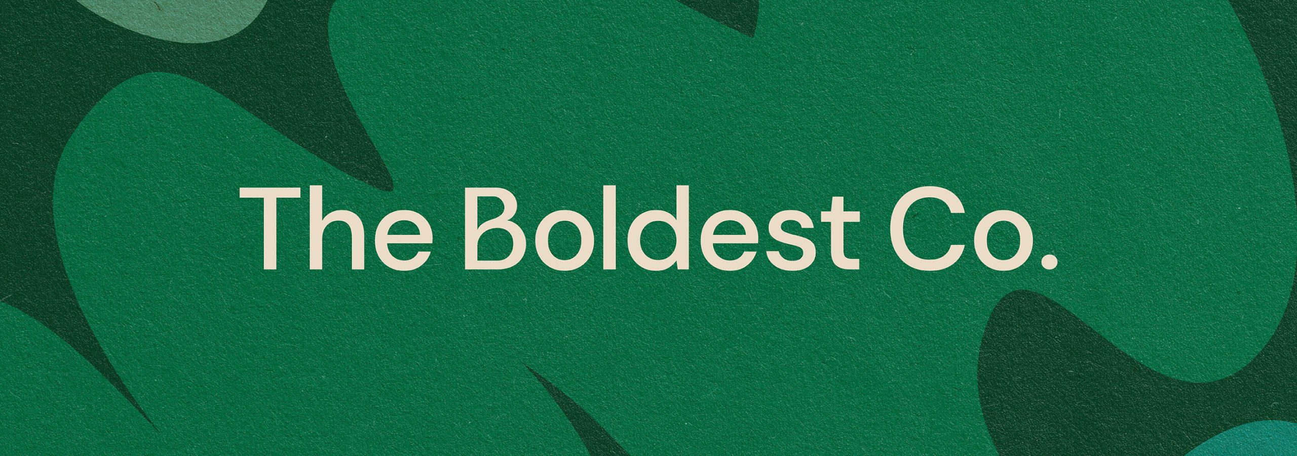 The Boldest Co logo sits on a green blob pattern background. The logo is a clean sans serif and features a slightly curvy ‘B’.
